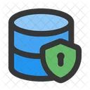 Data Security Protection Database Icon