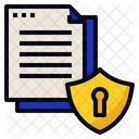 Data Security Protection Icon
