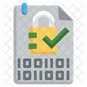 Data Security Encrypted Encryption Icon