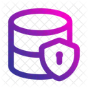 Data security  Icon