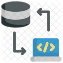 Database Transfer Programming Icon