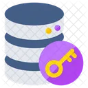 Database Access  Icon