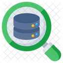 Database Analysis  Icon