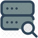 Database audit  Icon