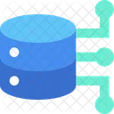 Database Digital Digital Server Sharing Icon