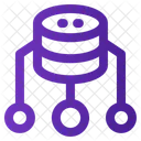 Database Business Intelligent Icon