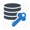 Key Lock Database Icon