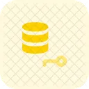 Database Key  Icon