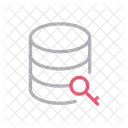 Database Key  Icon
