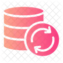 Database Management  Icon