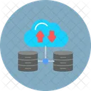 Database Network Database Network Icon