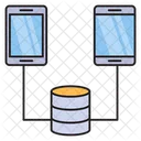 Database Network  Icon