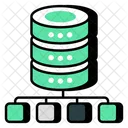Database Network  Icon