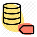 Database Pin  Icon