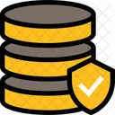 Virus Protection Computer System Icon