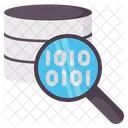 Database scan  Icon