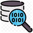 Database scan  Icon