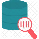 Database Scanning Database Searching Database Search Icon