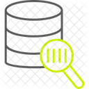 Database Search Search Database Icon