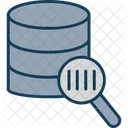 Database Search Search Database Icon