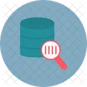 Database Search Search Database Icon