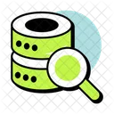 Database Search  Icon