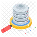 Database Search Data Search Information Search Icon
