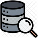 Database Search Search Database Server Search Icon