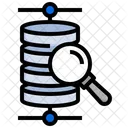 Database Search  Icon