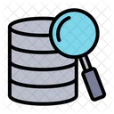 Database Search Data Search Server Search Icon