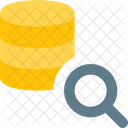 Database Search  Icon