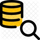 Database Search  Icon
