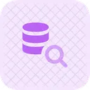Database Search  Icon