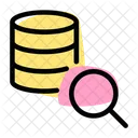 Database Search  Icon