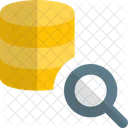 Database Search  Icon