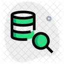 Database Search  Icon