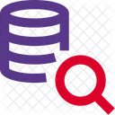 Database Search  Icon