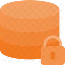 Storage Lock Data Icon