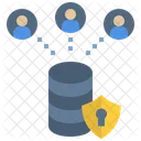 Database Security Server Security Database Privacy Icon