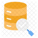 Database Validation Data Icon