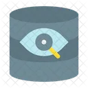 Vision Eye Data Icon