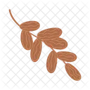 Fruits Arabian Branch Icon
