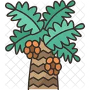 Date Palm Tree Icon