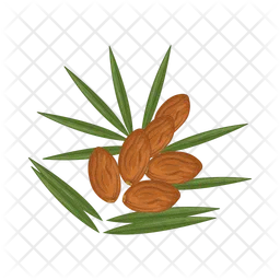 Date fruit  Icon