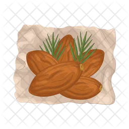 Date fruit  Icon