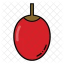 Date Fruit Date Fruit Icon