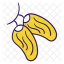 Date Fruit Fruit Food Icon
