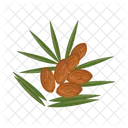 Date Fruit Fruit Food Icon