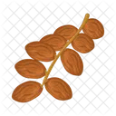 Date Fruit Fruit Food Icon