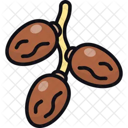 Date fruits  Icon